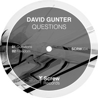 David Gunter - Questions