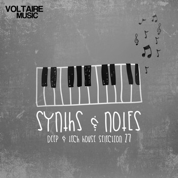 Various Artists - Synths and Notes 27