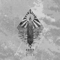 North - Through Raven's Eyes