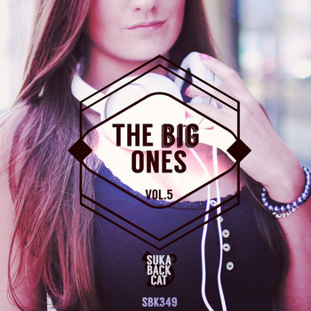 Various Artists - The Big Ones, Vol. 5