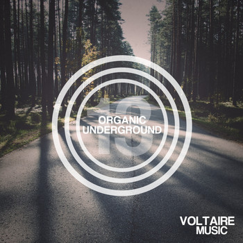 Various Artists - Organic Underground Issue 13