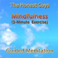 The Honest Guys - Mindfulness (3 Minute Exercise)
