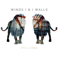Winds & Walls - Still Lions