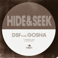 DSF - Hide & Seek