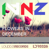 IVNZ - Flowers in December