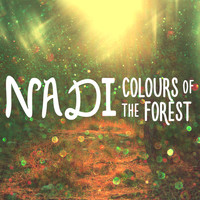 Nadi - Colours of the Forest