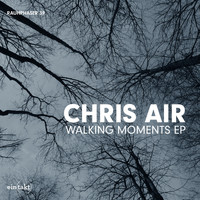 Chris Air - Walking Moments