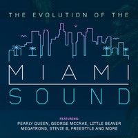 Various Artists - The Evolution of the Miami Sound