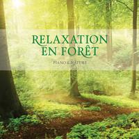 Stuart Jones - Relaxation En Foret