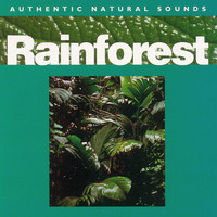 Natural Sounds - Rainforest