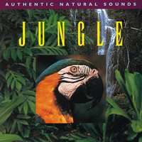 Natural Sounds - Jungle