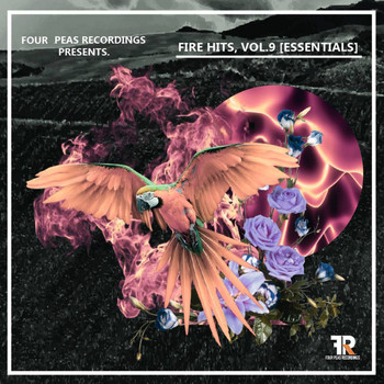 Various Artists - Fire Hits, Vol. 9 (Essentials)