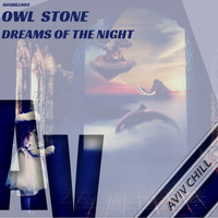Owl Stone - Dreams of the Night