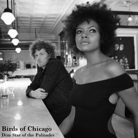 Birds of Chicago - Dim Star of the Palisades