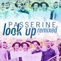 Passerine - Look up Remixed