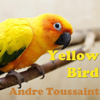 André Toussaint - Yellow Bird