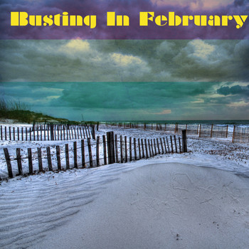 Various Artists - Busting In February