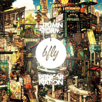 Autumn Storm - Reincarnation LP