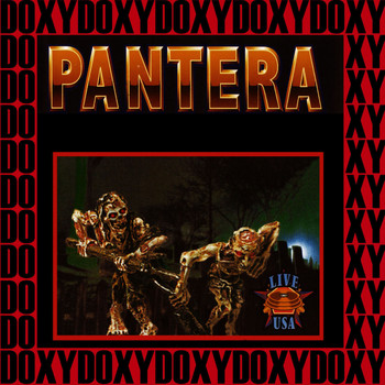 Pantera - Live in USA, 1992, 1993