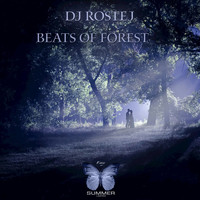DJ Rostej - Beats of Forest