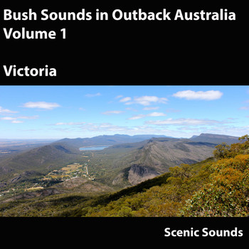 Scenic Sounds - Bush Sounds in Outback Australia, Vol. 1