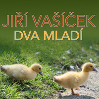 Jiří Vašíček - Dva Mladí