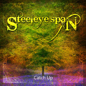 Steeleye Span - The Essential Steeleye Span: Catch Up