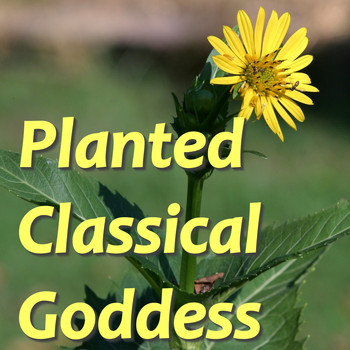 Various Artists - Planted Classical Goddess