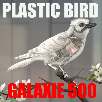 Galaxie 500 - Plastic Bird