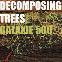 Galaxie 500 - Decomposing Trees