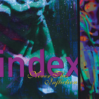 Index - Never This Infliction
