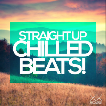 Various Artists - Straight Up Chilled Beats!