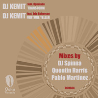 DJ Kemit - Fortune Teller