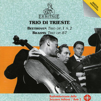 Trio di Trieste - Trio di Trieste, Beethoven, Brahms