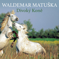 Waldemar Matuška - Divoký Koně