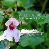 Willy Alberti - Als Een Wilde Orchidee