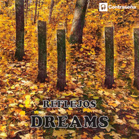 Dreams - Reflejos
