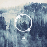 Ryan Zigler - Organic EP