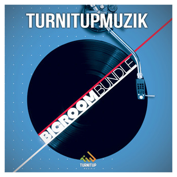 Various Artists - Bigroom Bundle