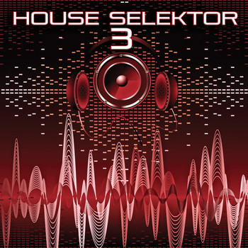 Various Artists - House Selektor, Vol. 3