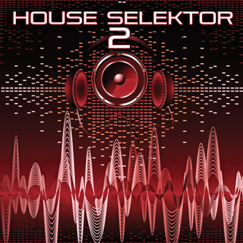 Various Artists - House Selektor, Vol. 2