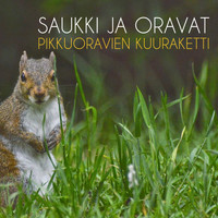 Saukki ja Oravat - Pikkuoravien Kuuraketti