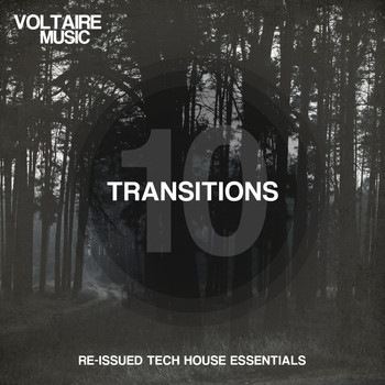 Various Artists - Transition Issue 10