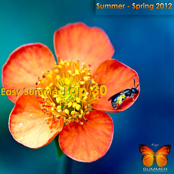 Various Artists - Easy Summer Top 30 Summer - Spring 2012