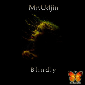 Mr.Udjin - Blindly