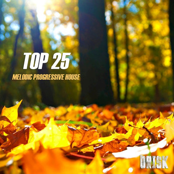 Various Artists - Melodic Progressive House - Top 25
