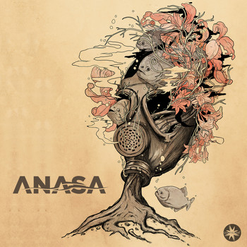 Anasa - Anasa