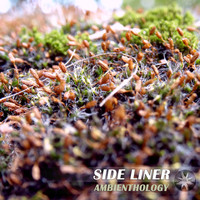 Side Liner - Ambienthology