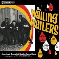The Wailers - One Love