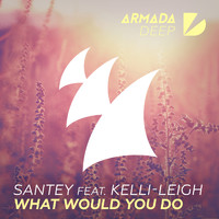 SANTEY feat. Kelli-Leigh - What Would You Do